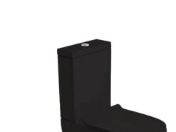 Cassetta Per Wc Monoblocco Wild Nero Opaco