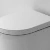 Sedile Wc Flo Termoindurente Avvolgente Bianco Lucido -Vendite BagnoVivo sedile wc flo termoindurente